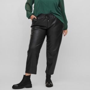 Black Faux Leather Pants Size 2X Sanctuary Hayden